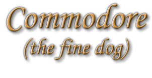Commodore (the fine dog)